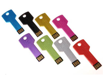 Key Shape USB Flash Drive