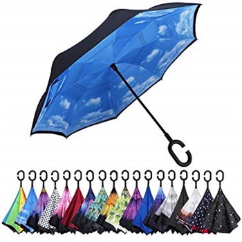 Inside-Out Umbrella